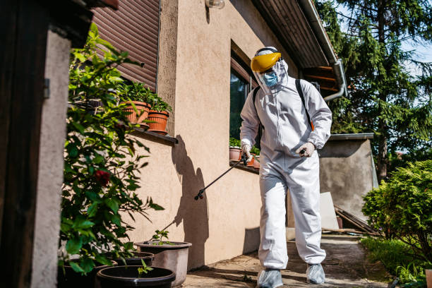 Best Exterminator Services  in Braddock Heights, MD