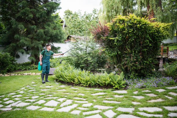Best Residential Pest Control  in Braddock Heights, MD