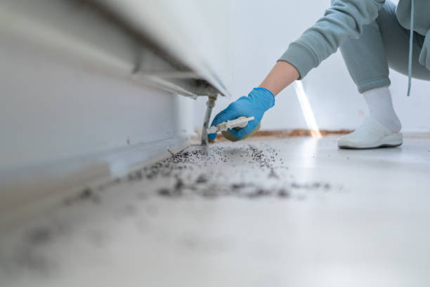 Braddock Heights, MD Pest Control Company